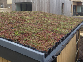 green roof installation 4