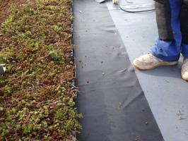 green roof installation 2